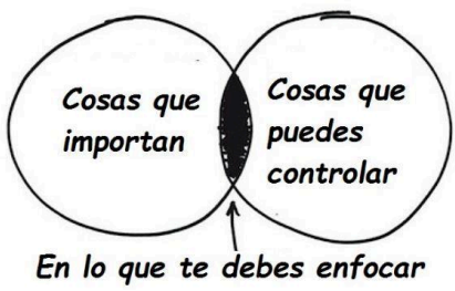 CONVIVIR CON EL CAOS EN EL DEPORTE COLECTIVO